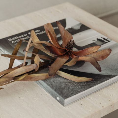 Bennett Magazine and dried flowers on a stone coffee table
