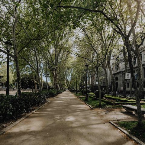 Bennett quiet tree-lined street with Greenway